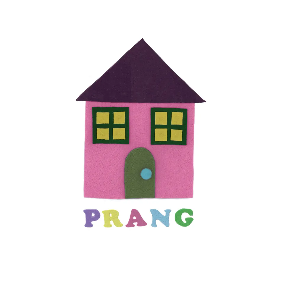 gender-roles-prang-vinyle-lp-noir-punk-uk image 1