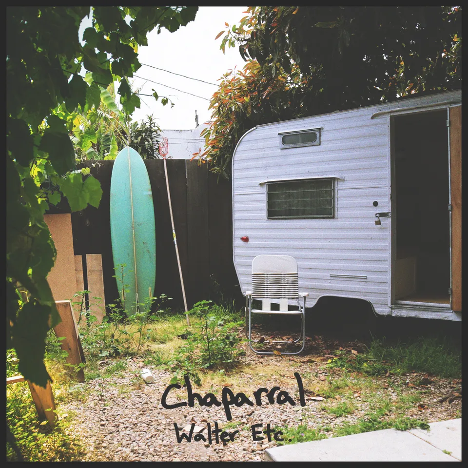 walter-etc-chaparral-vinyle-7-blanc-vert image 1