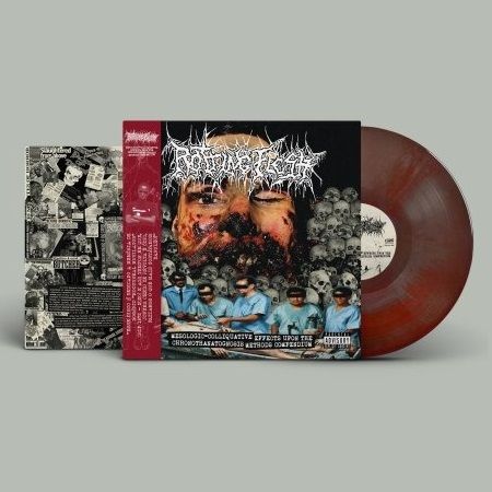 rotting-flesh-mesologic-vinyle-lp-gris-rouge-obi-100-ex image 1