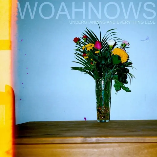 woahnows-understanding-and-everything-else-cd image 1