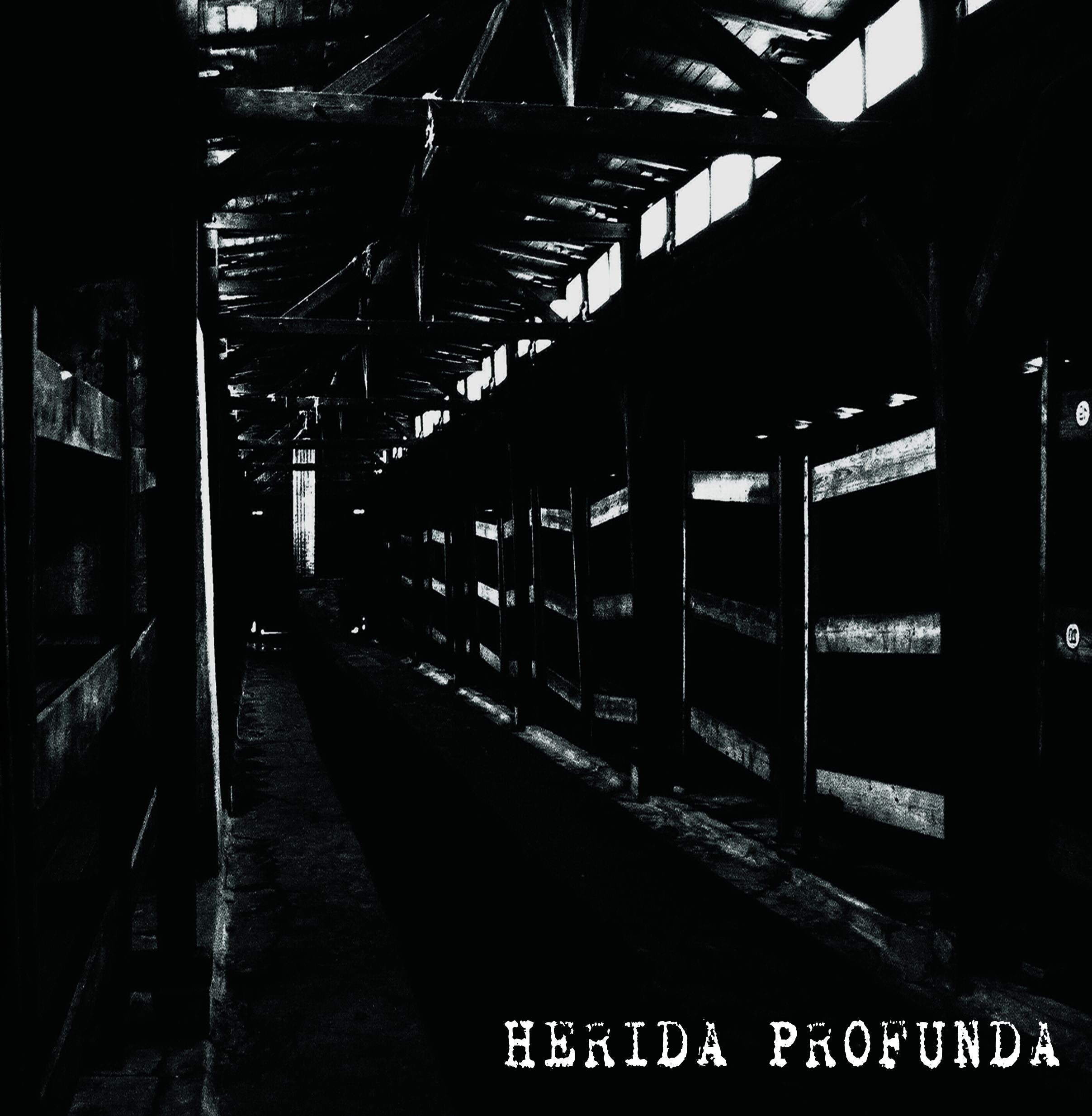 herida-profunda-s-t-lp-vinyle-noir-12-gatefold-grind-crust image 1
