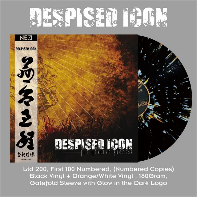 despised-icon-the-healing-process-lp-vinyle-splatter-dition-200 image 1