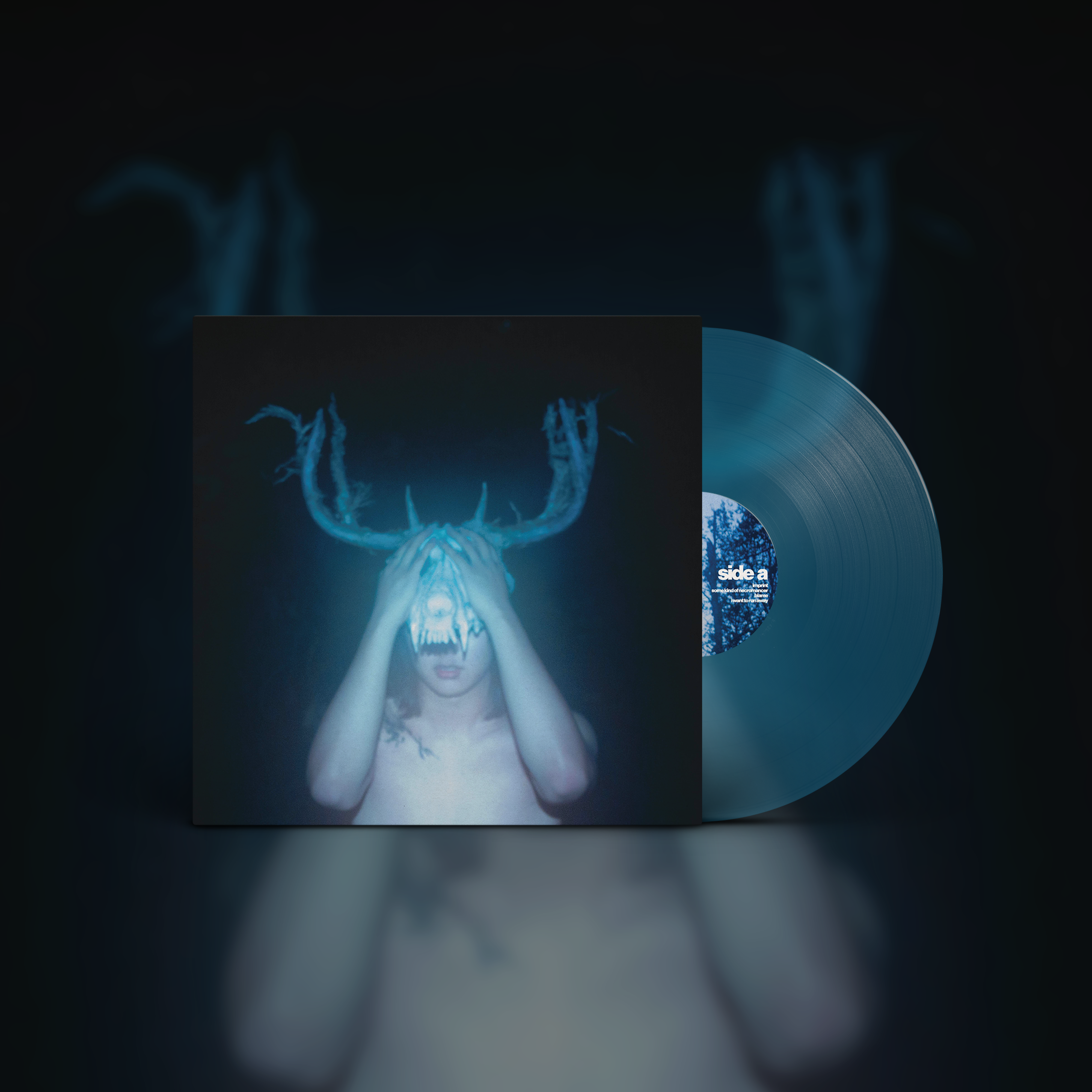 tiger-really-mayfly-daydream-vinyle-lp-blue-and-black-mayfly image 4