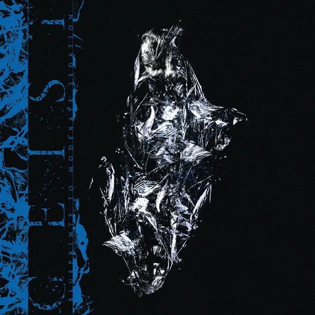 geist-blueprints-to-moderate-sedation-lp-vinyle-limit-100 image 1