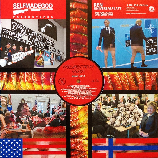 psudoku-parlamentarisk-sodomi-split-lp-vinyle image 2
