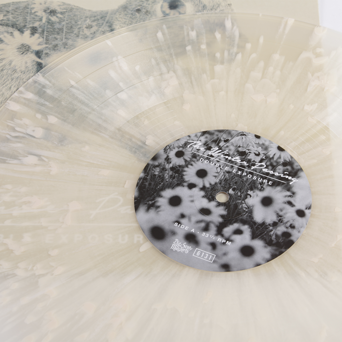 the-winter-passing-double-exposure-ep-vinyle-noir-12-punk image 2