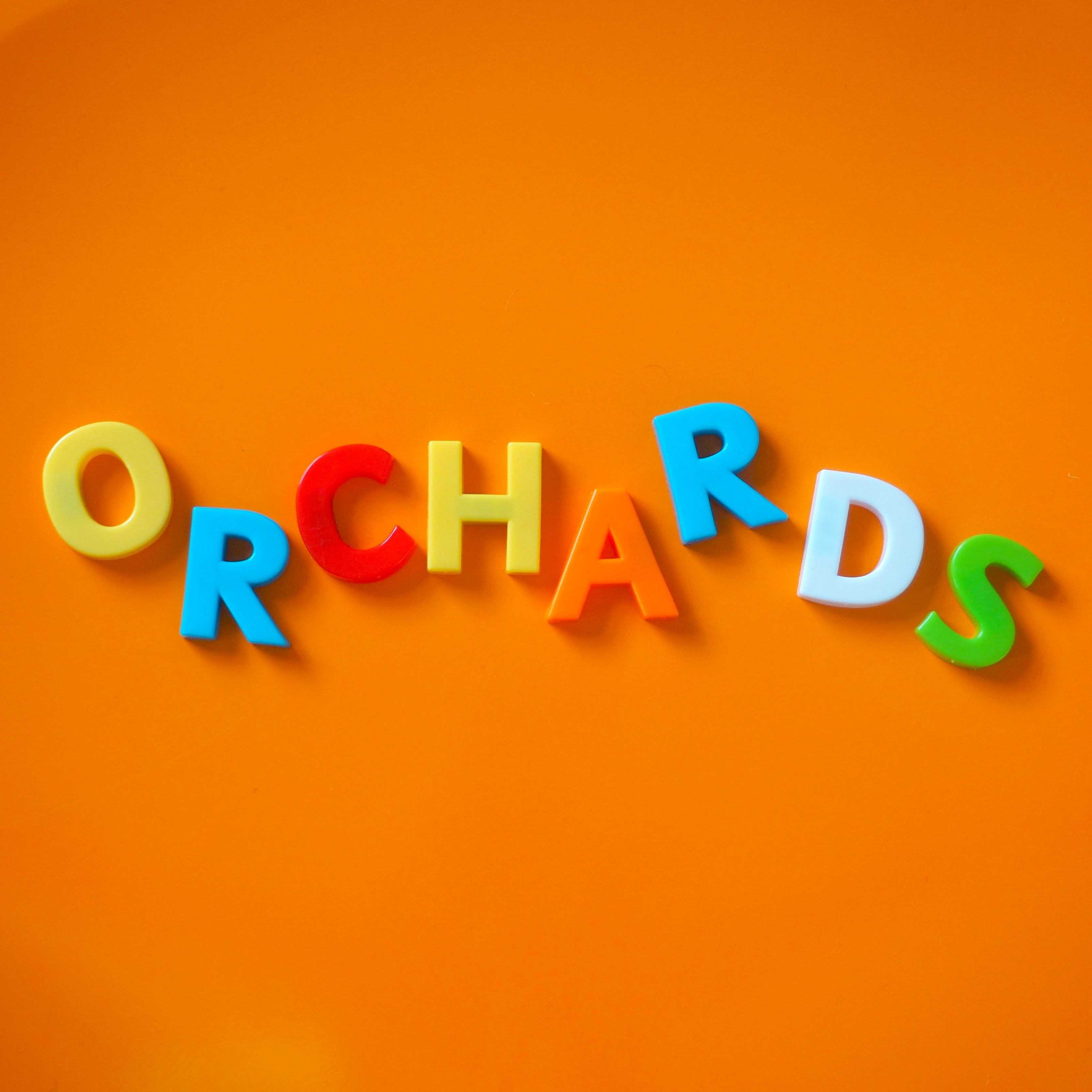 big-scary-monsters-orchards-young-mature-me-vinyle-7-orange image 1
