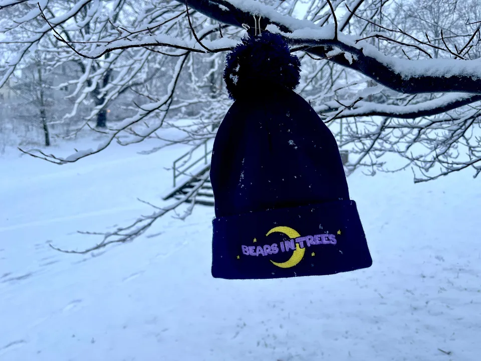 bears-in-trees-beanie-bonnet-tricot image 1