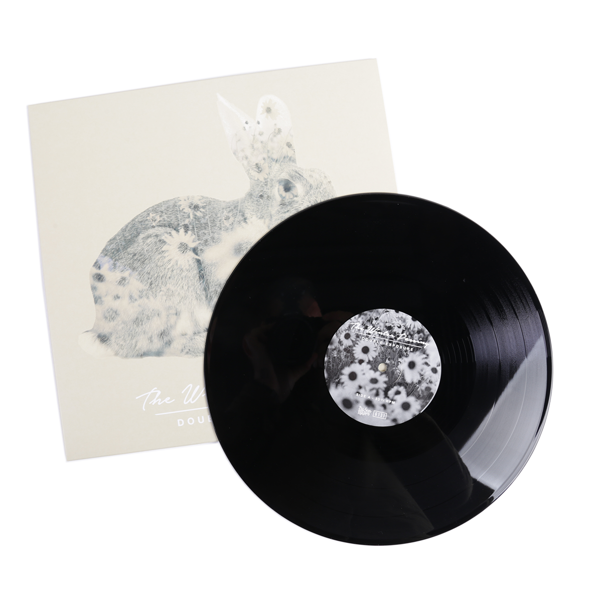 the-winter-passing-double-exposure-ep-vinyle-noir-12-punk image 3