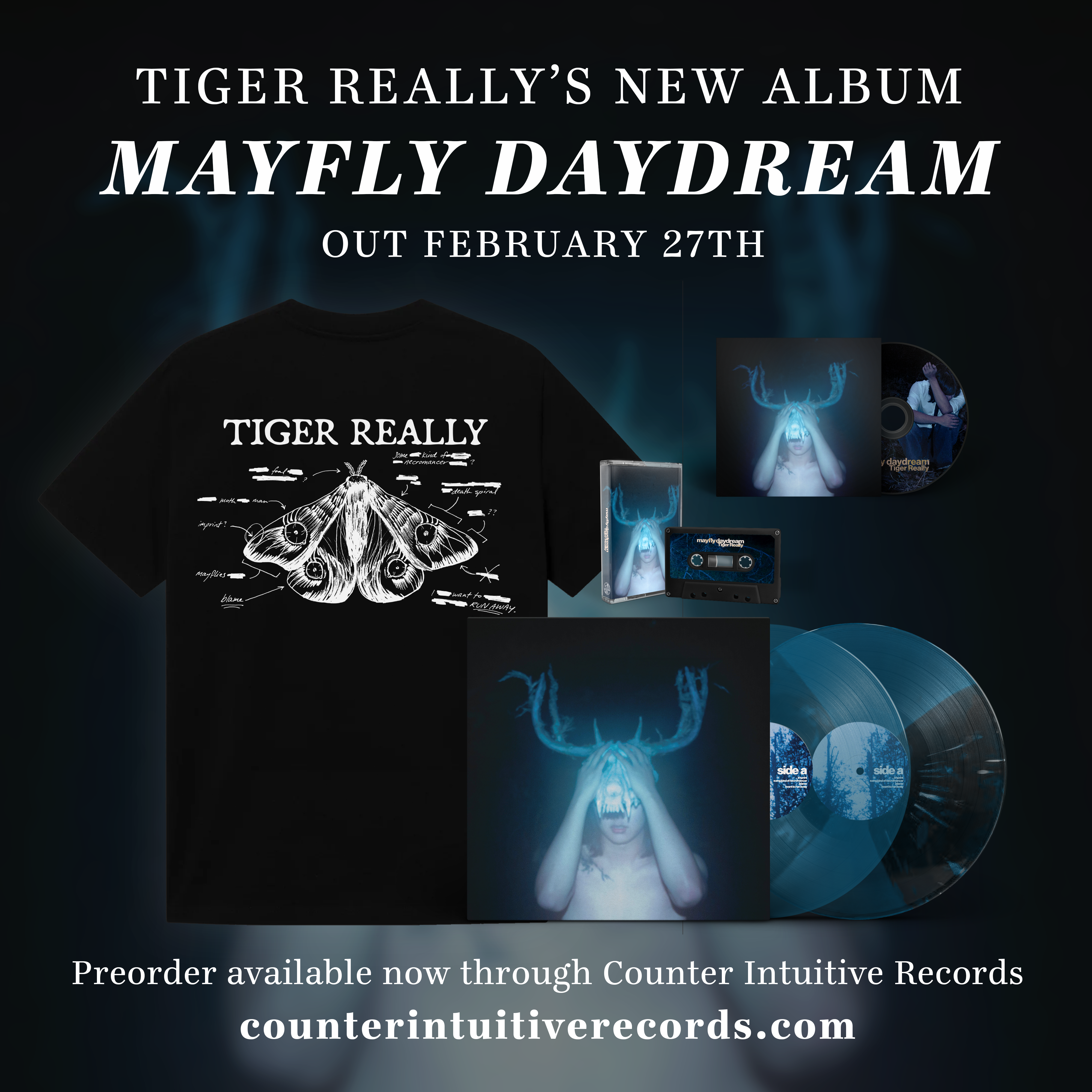 tiger-really-mayfly-daydream-vinyle-lp-blue-and-black-mayfly image 7