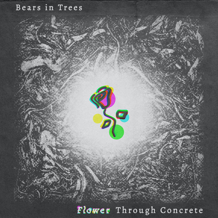 bears-in-trees-flower-through-concrete-vinyle-blanc-7-pouces image 1