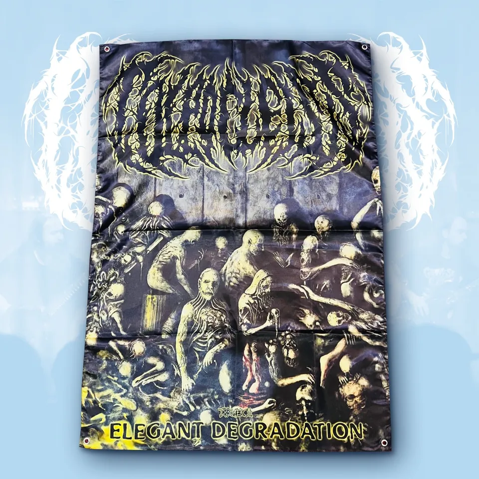 783punx-colpocleisis-elegant-degradation-drapeau-100x70 image 1